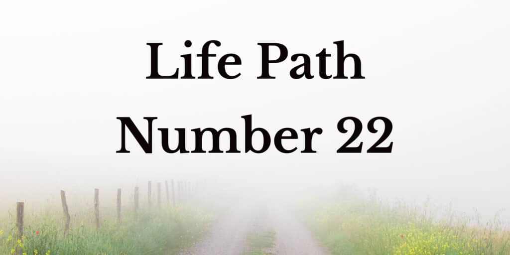 Life Path Number 22