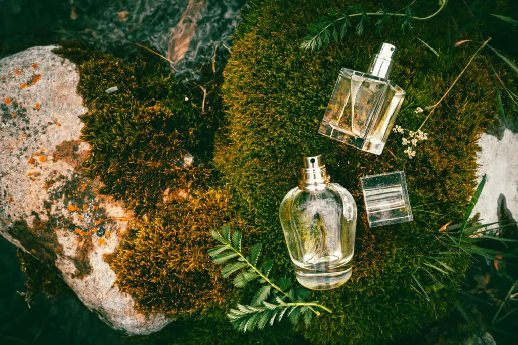 Two different glass perfume bottles lie on green moss close up, flat lay