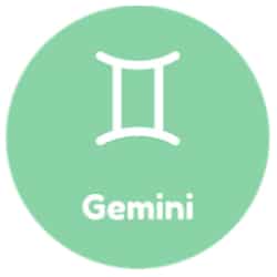 Gemini